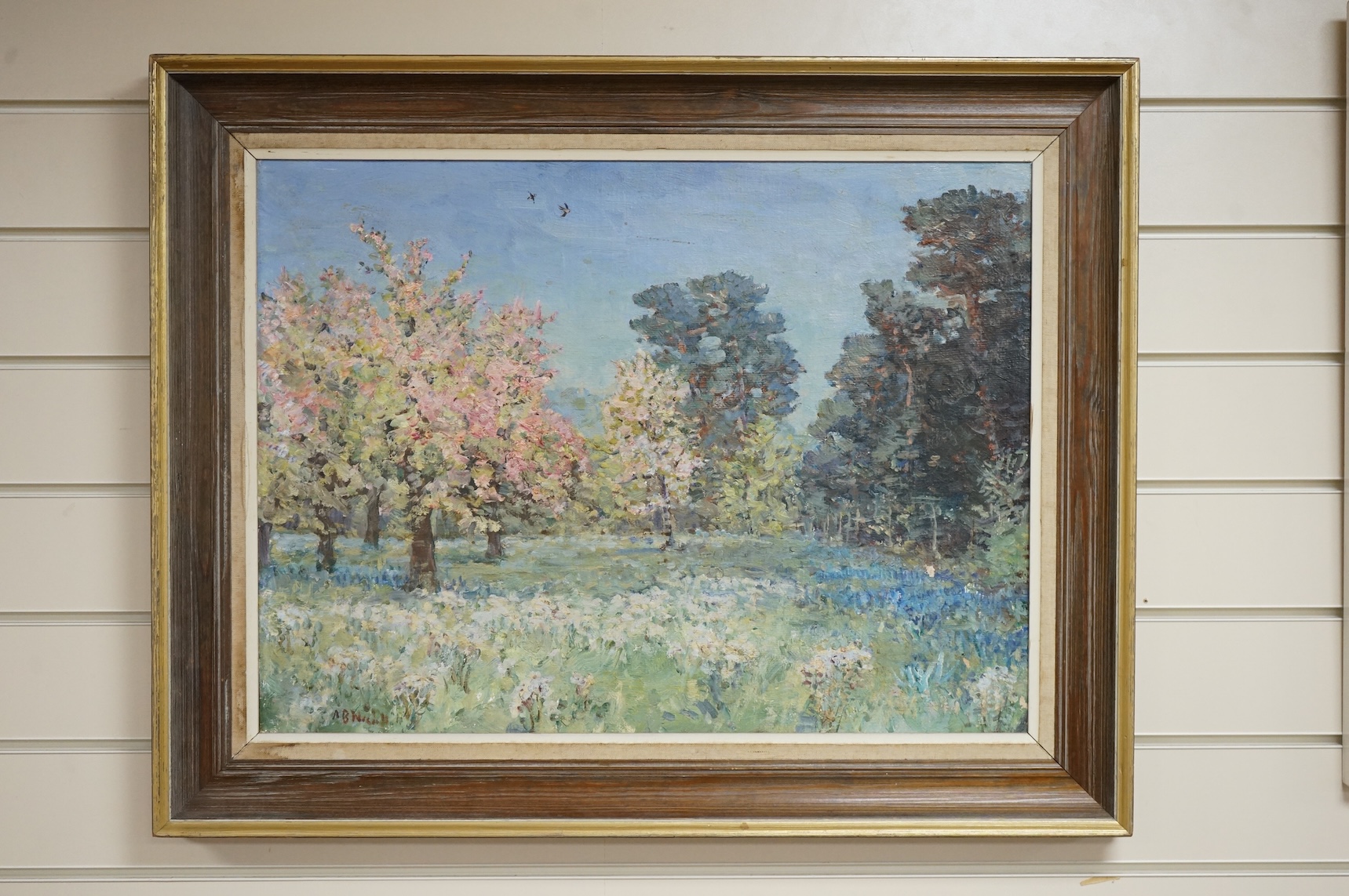 A. B. Nicholl ?, Impressionist oil on board, Woodland glade, signed, 44 x 59cm